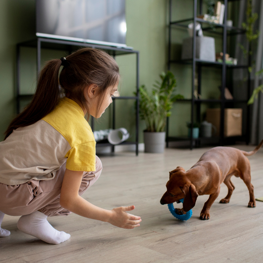 寒い冬に犬と一緒にお家で遊びを楽しむ方法