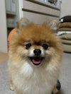 Hirki I.様