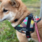 Petcanva® オーダーメイド犬用ハーネス
