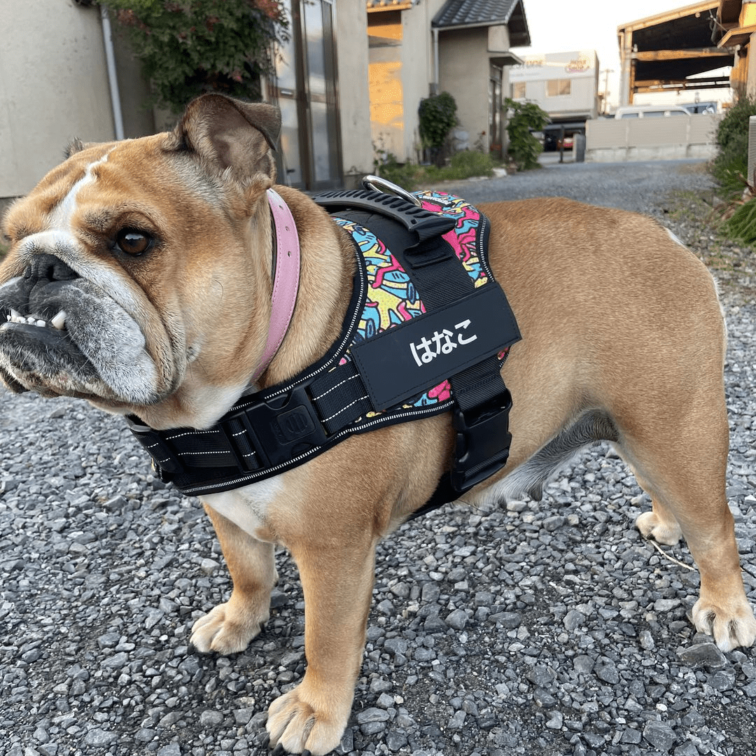 犬用ハーネスオーダーメイド – PET CANVA