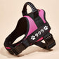 Petcanva® オーダーメイド犬用ハーネス - PET CANVA