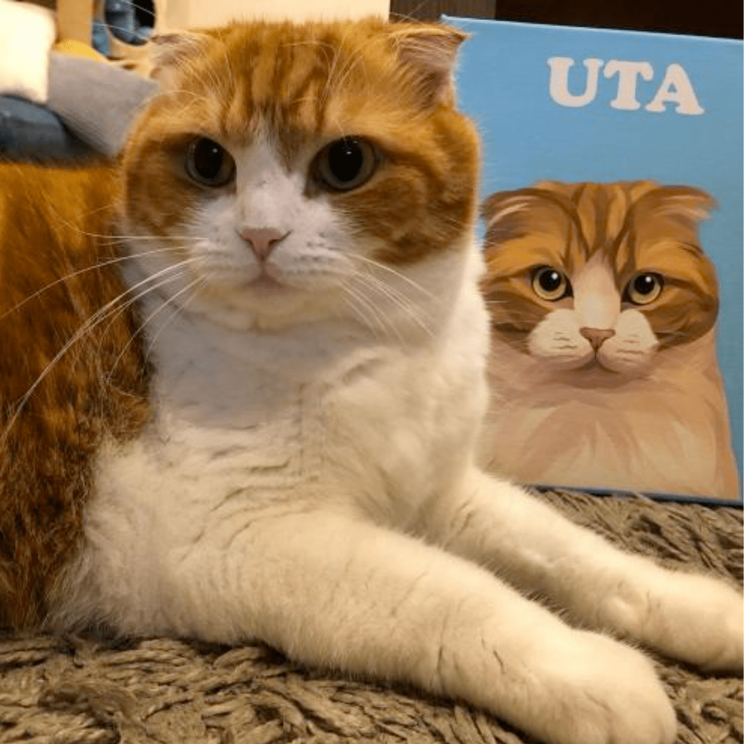 ポップペイント　単色 オーダーメイド ペット似顔絵 - PET CANVA